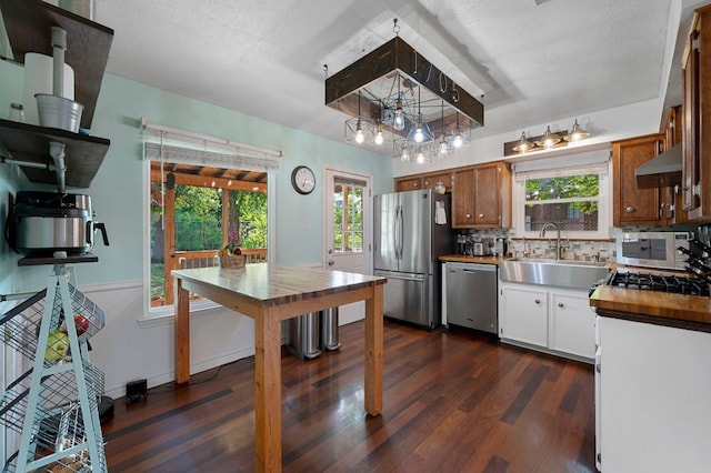 kitchen featuring dark wood-style floors, under cabinet range hood, stainless steel appliances, and a sink