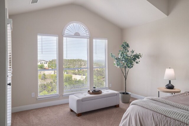 103 Aria Rdg Unit 902, Austin, TX 78738 - carpeted bedroom featuring baseboards and vaulted ceiling
