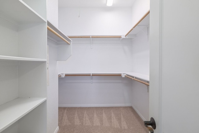 103 Aria Rdg Unit 902, Austin, TX 78738 - spacious closet with carpet flooring