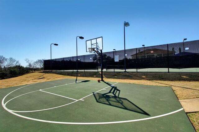 103 Aria Rdg Unit 902, Austin, TX 78738 - view of basketball court featuring community basketball court