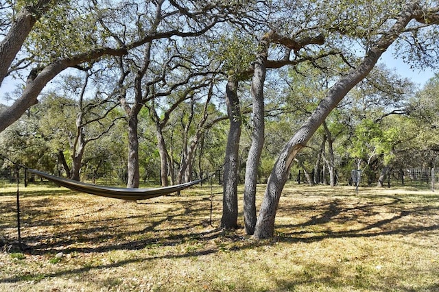 1609 Havenwood Blvd, New Braunfels, TX 78132 - view of nature