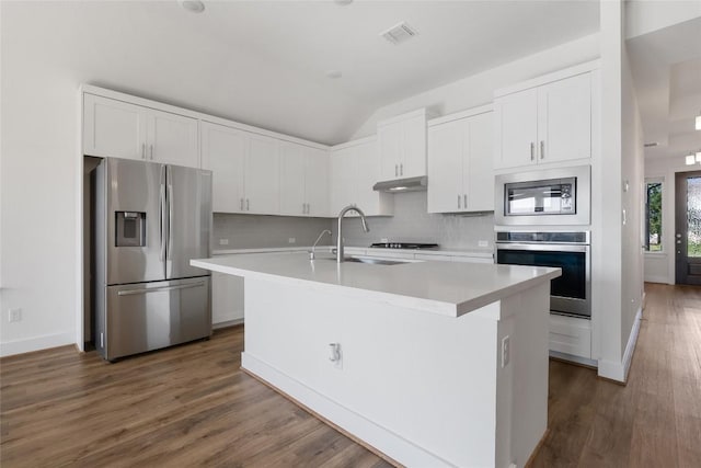 105 Lemuel Crawford Trl, Bastrop, TX 78602 - kitchen featuring tasteful backsplash, visible vents, under cabinet range hood, a sink, and stainless steel appliances