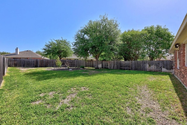 806 Broken Trace Ct, Round Rock, TX 78665 - view of yard