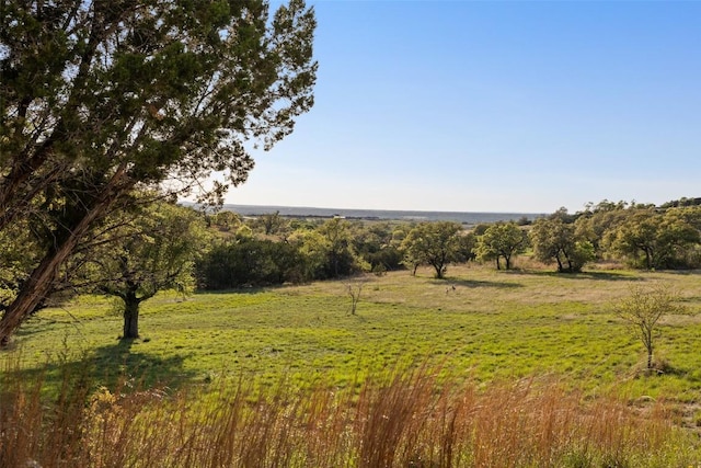 468 Cedar Mountain Dr, Marble Falls, TX 78654 - view of wooded area with a view of countryside