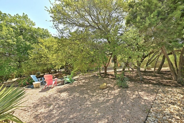 21940 Agarito Ln, Spicewood, TX 78669 - view of yard