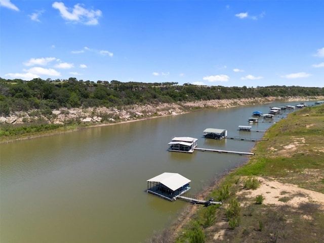 1293 Lake Shore Dr, Spicewood, TX 78669 - photo 1