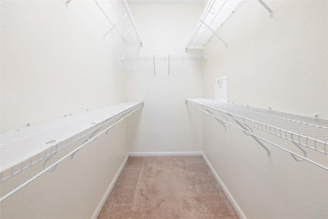 2025 Wayward Sun Dr, Austin, TX 78754 - spacious closet featuring light carpet
