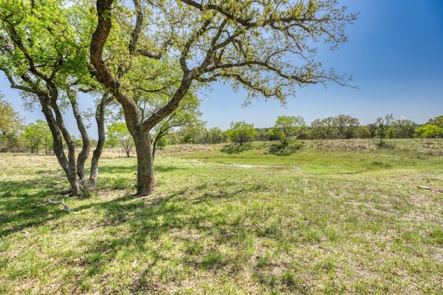 452 Sandy Cemetery Rd, Johnson City, TX 78636 - photo 36