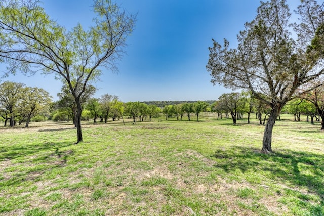 452 Sandy Cemetery Rd, Johnson City, TX 78636 - view of yard featuring a rural view