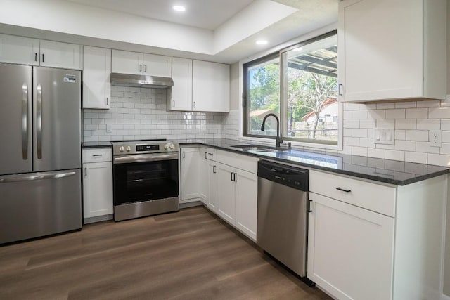 kitchen featuring appliances with stainless steel finishes, a sink, white cabinets, and under cabinet range hood