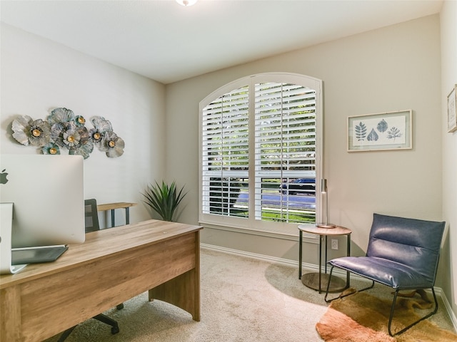 office area with carpet floors, baseboards, and plenty of natural light