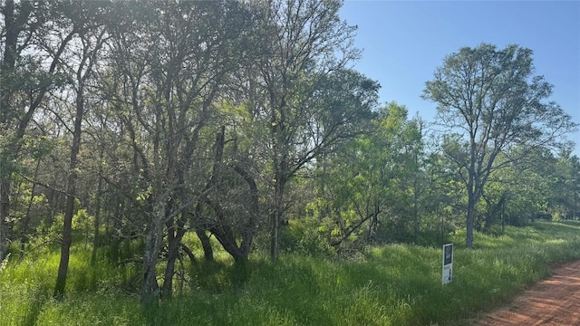 203 Mokulua Ln, Bastrop, TX 78602