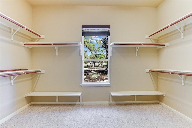 spacious closet with carpet