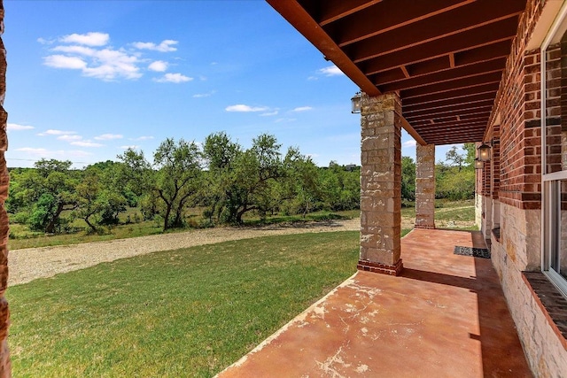 view of yard featuring a patio
