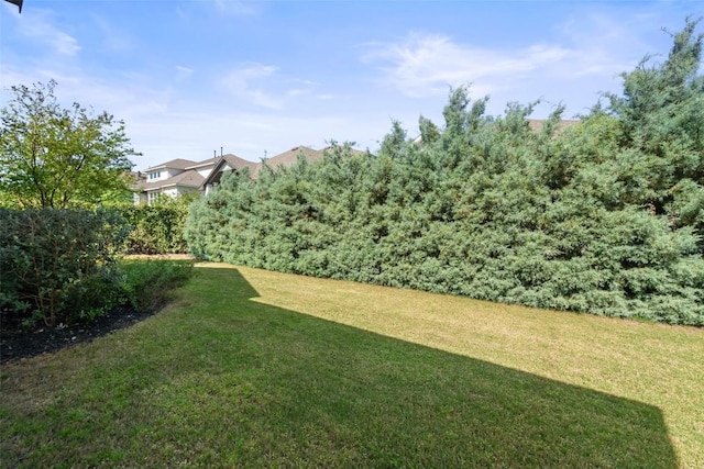 234 Sumalt Gap Way, Lakeway, TX 78738 - view of green lawn
