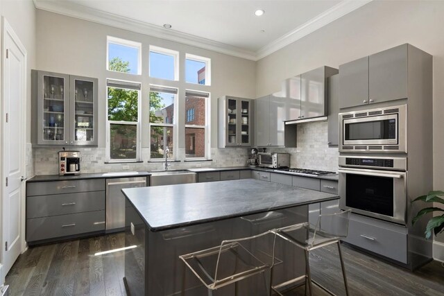 1015 Juniper St, Austin, TX 78702 - kitchen with appliances with stainless steel finishes, ornamental molding, dark wood-style flooring, a sink, and gray cabinetry