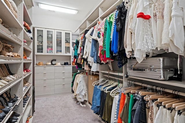 1015 Juniper St, Austin, TX 78702 - spacious closet with carpet