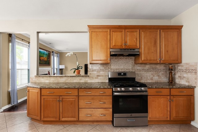 12528 E Labrador Cv, Austin, TX 78729 - photo 11