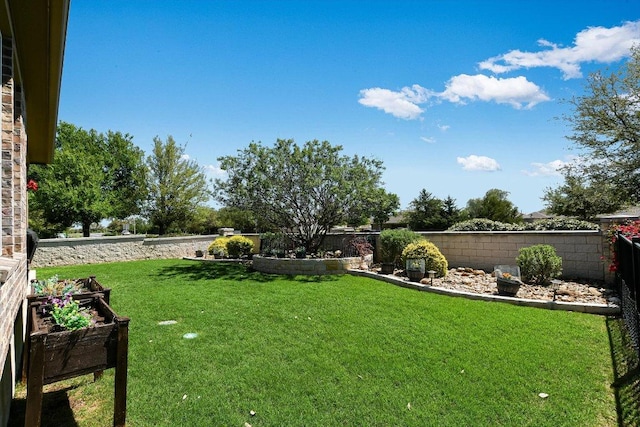 603 Archer Ln, Georgetown, TX 78633 - view of yard with a fenced backyard