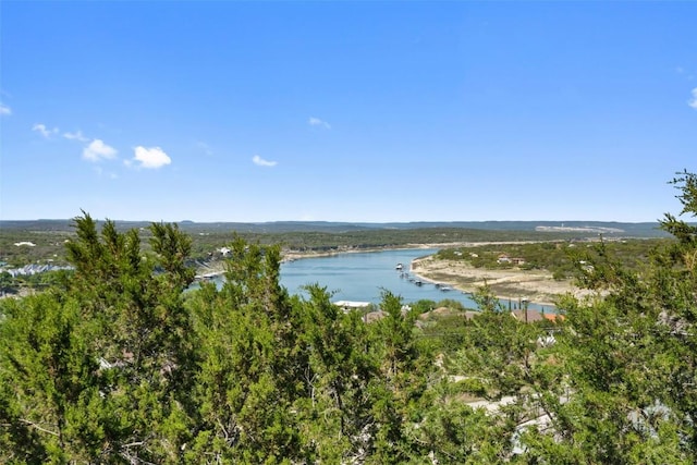 403 Rogart Dr, Spicewood, TX 78669 - view of water feature