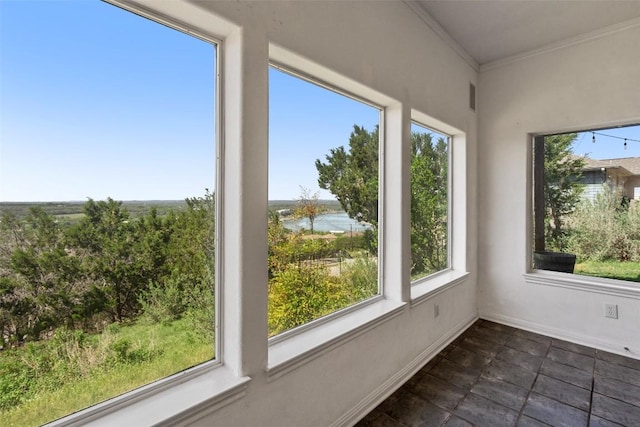 403 Rogart Dr, Spicewood, TX 78669 - unfurnished sunroom with baseboards and ornamental molding