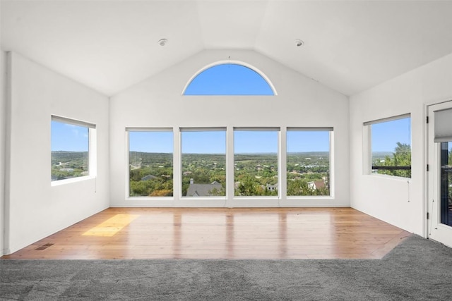403 Rogart Dr, Spicewood, TX 78669 - interior space featuring a wealth of natural light and wood finished floors