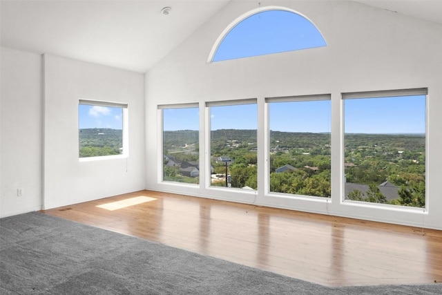 403 Rogart Dr, Spicewood, TX 78669 - unfurnished room with high vaulted ceiling, a wealth of natural light, and wood finished floors