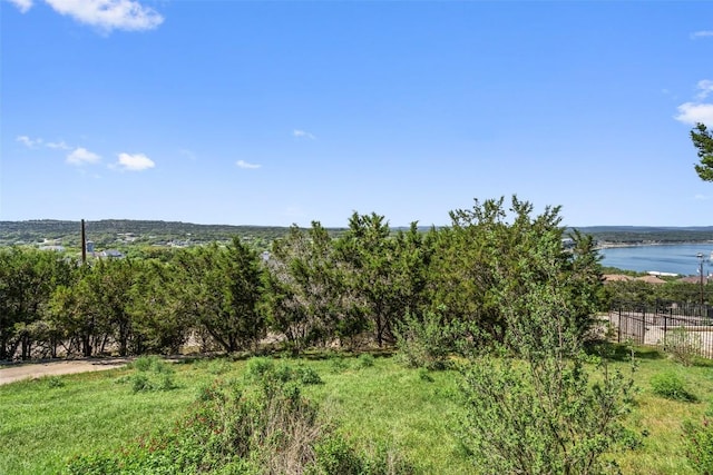 403 Rogart Dr, Spicewood, TX 78669 - exterior space