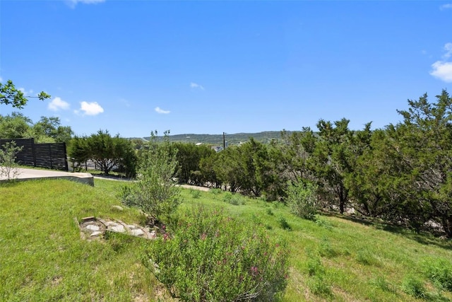 403 Rogart Dr, Spicewood, TX 78669 - view of yard
