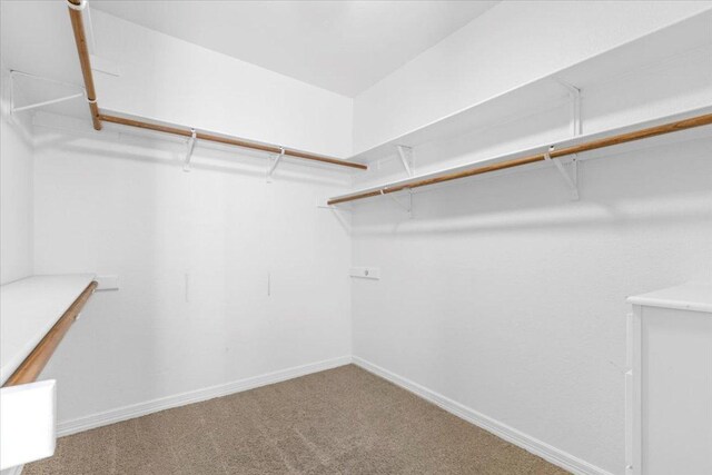 8312 Jancy Dr, Austin, TX 78750 - spacious closet featuring carpet flooring