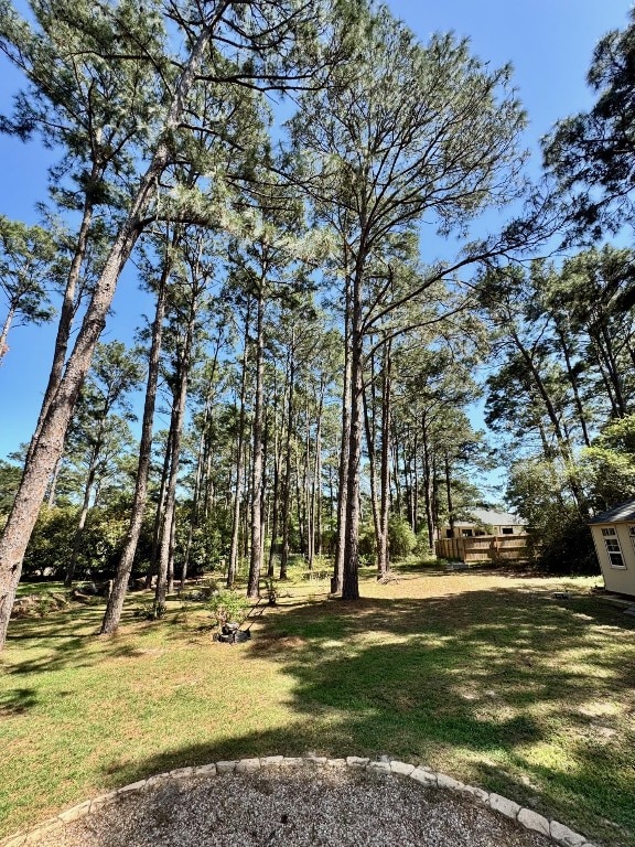 view of yard