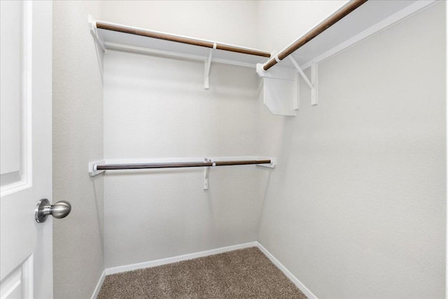 252 Fabion St, Kyle, TX 78640 - spacious closet featuring carpet floors