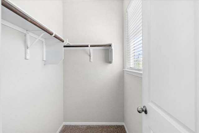 252 Fabion St, Kyle, TX 78640 - walk in closet featuring carpet flooring