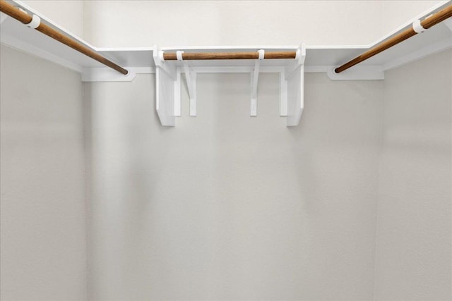 252 Fabion St, Kyle, TX 78640 - view of walk in closet