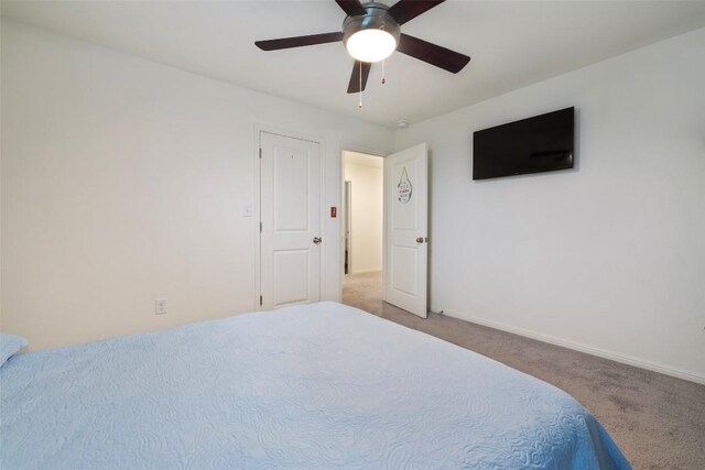 261 Night Rider Way, Jarrell, TX 76537 - photo 25