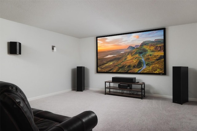 3307 Columbus Way, Round Rock, TX 78665 - carpeted cinema room with baseboards