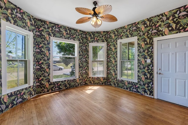 523 Ash St, Lockhart, TX 78644 - interior space featuring wood-type flooring, a ceiling fan, plenty of natural light, and wallpapered walls