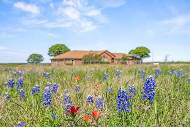584 S Hanath Kuehl Rd, Riesel, TX 76682 - photo 3