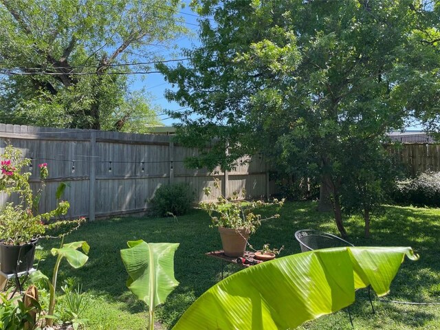 7509 Daugherty St, Austin, TX 78757 - photo 18