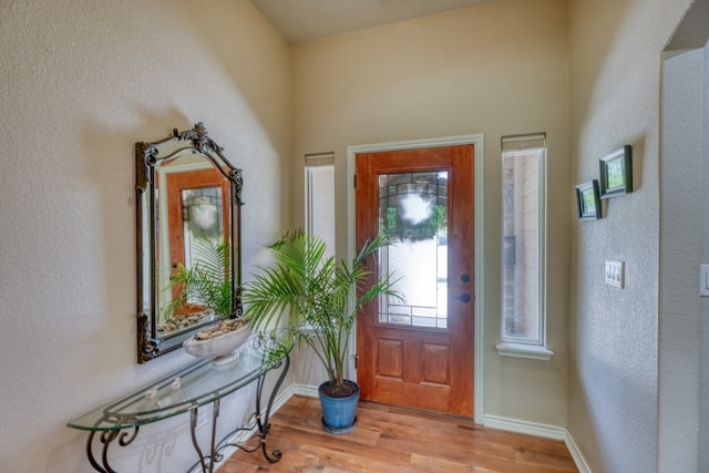 103 Ladera Cv, Marble Falls, TX 78654 - entrance foyer with light wood-style flooring, baseboards, and a textured wall