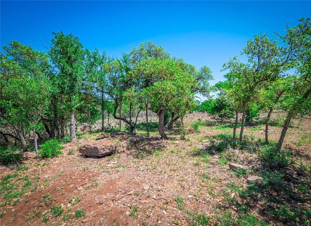 500 Gravel Dr, Burnet, TX 78611 - photo 29