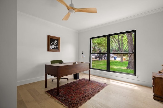 4328 Far W Blvd, Austin, TX 78731 - office featuring crown molding, baseboards, a ceiling fan, and light wood-type flooring