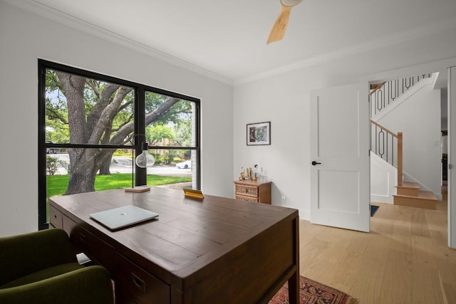 4328 Far W Blvd, Austin, TX 78731 - office space with crown molding, ceiling fan, and light wood-type flooring