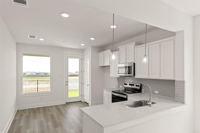 2031 Cora Ivy Ln, Round Rock, TX 78665 - kitchen featuring appliances with stainless steel finishes, a sink, light countertops, light wood-style flooring, and decorative backsplash