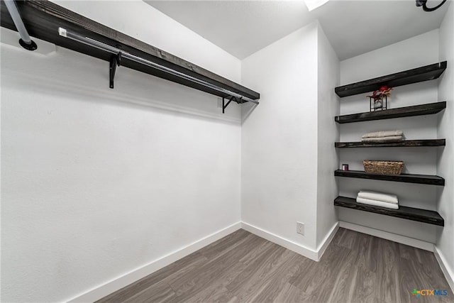 spacious closet featuring wood finished floors