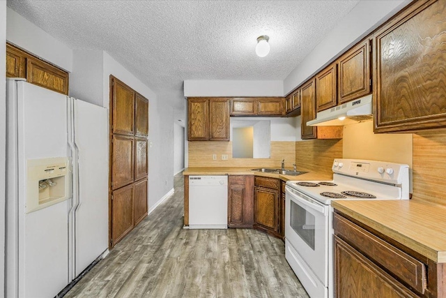 317 W William Cannon Dr B, Unit A, Austin, TX 78745 - kitchen featuring white appliances, under cabinet range hood, a sink, light wood finished floors, and a textured ceiling