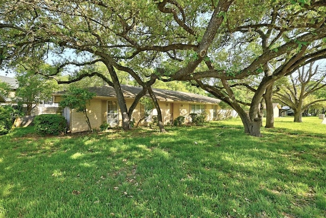 1700 Barton Hills Dr, Austin, TX 78704 - view of grassy yard