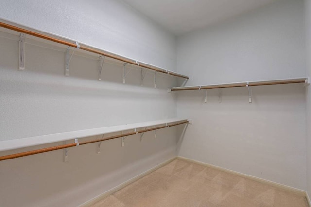 3610 Turkey Path Bnd, Cedar Park, TX 78613 - spacious closet featuring light carpet