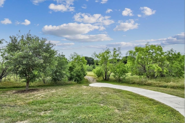 3213 Little Willow, San Antonio, TX 78245 - photo 35
