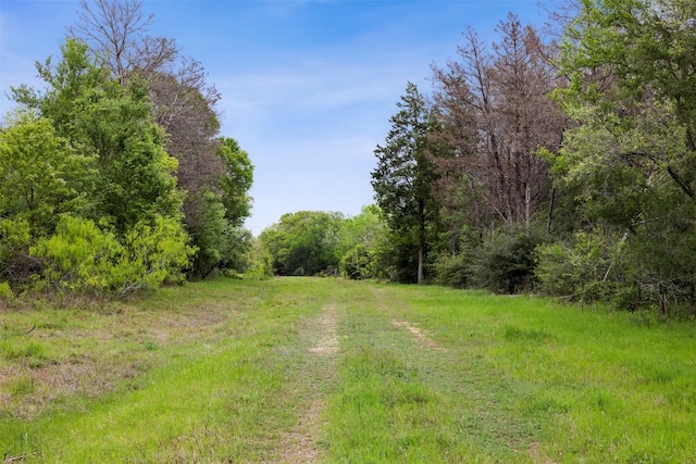 4822 Fm 1624th Rd, Lexington, TX 78947